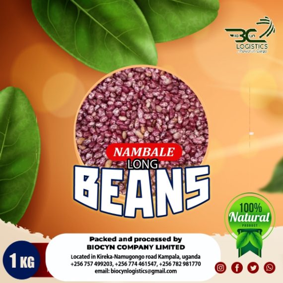Nambale Long