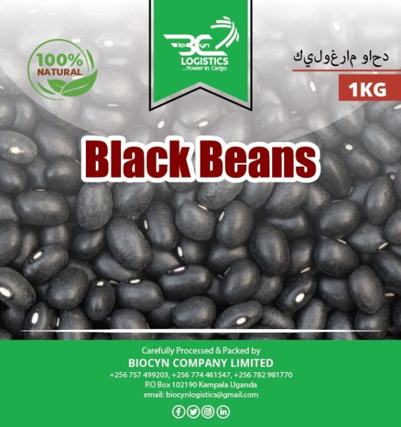 Black Beans